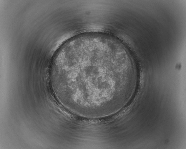 X0000114651210200911101313