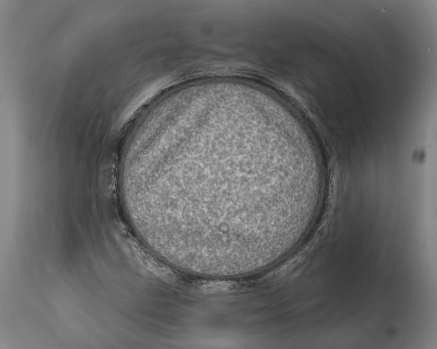 X0000114651211200911101313