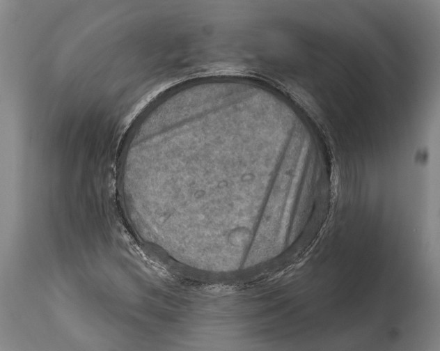 X0000114651212200911101313