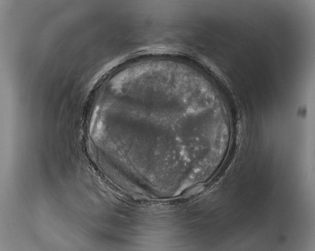 X0000114651213200911101313