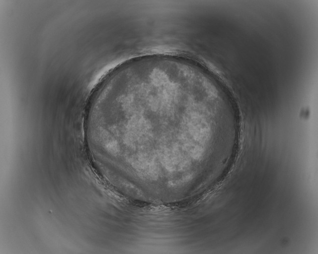 X0000114651214200911101313