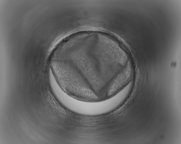 X0000114651215200911101313