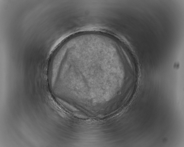 X0000114651216200911101313