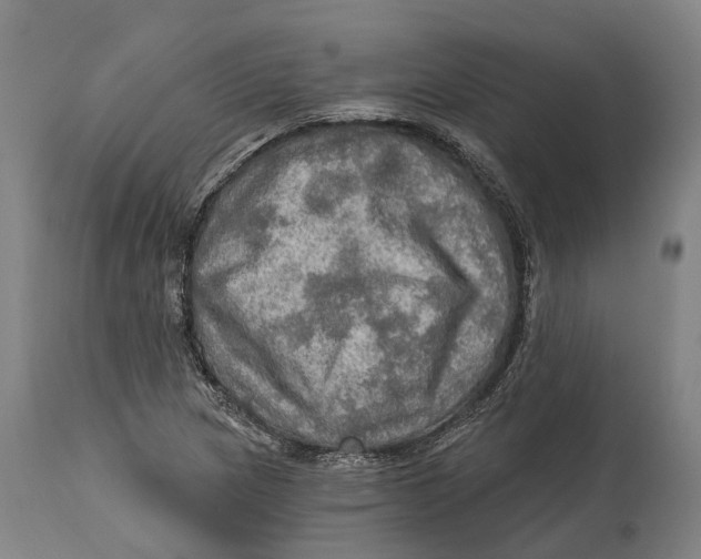 X0000114651217200911101313