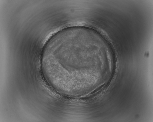 X0000114651218200911101313