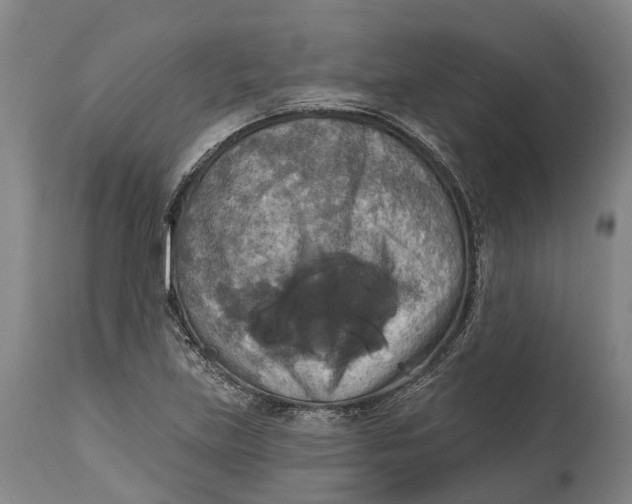 X0000114651219200911101313