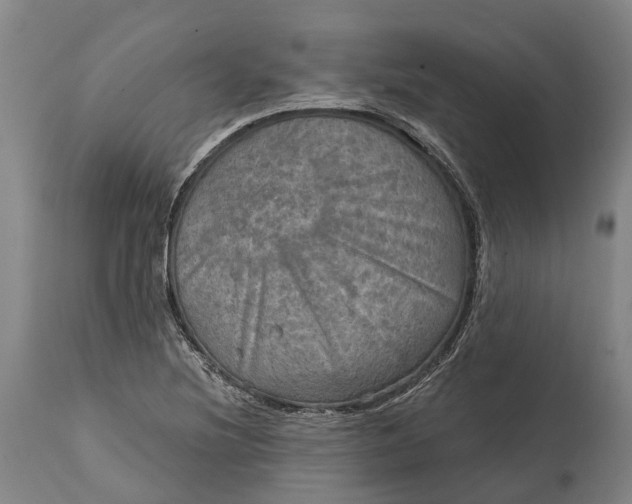 X0000114651220200911101313