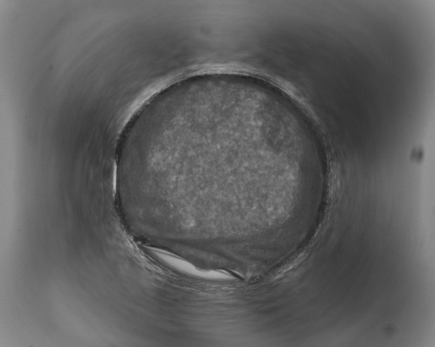 X0000114651221200911101313