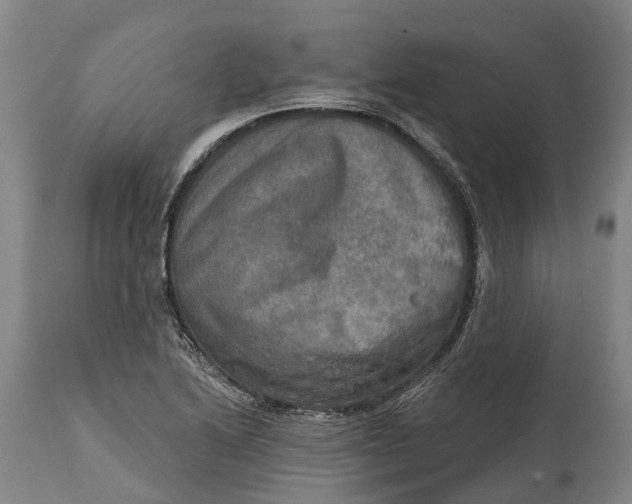 X0000114651222200911101313