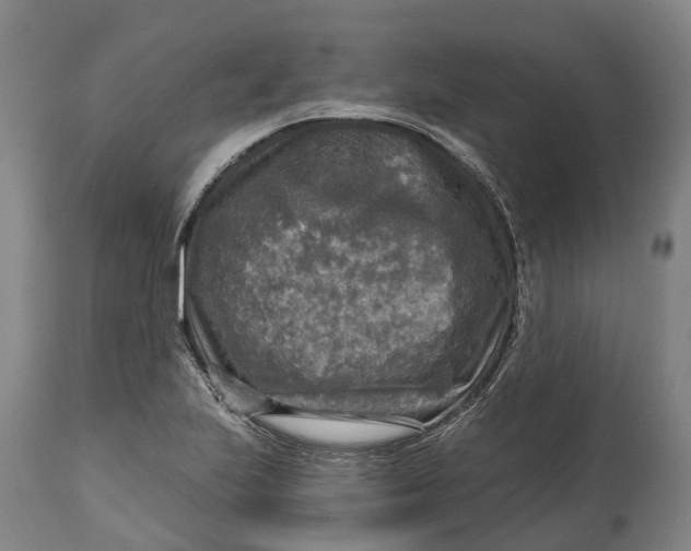 X0000114651223200911101313