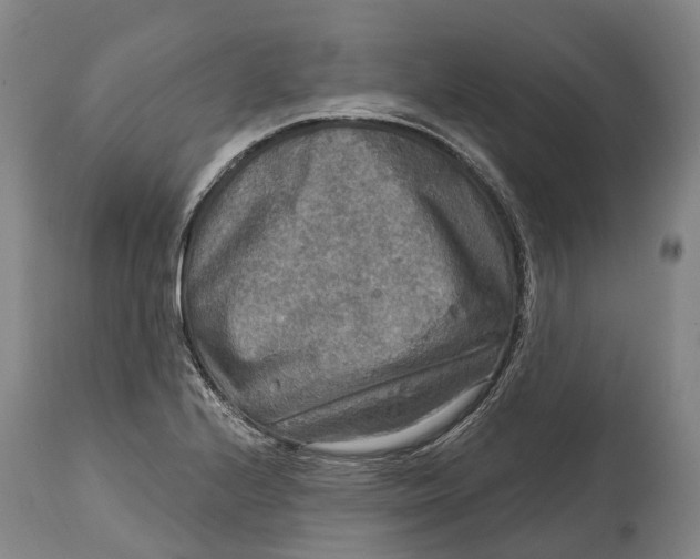 X0000114651224200911101313