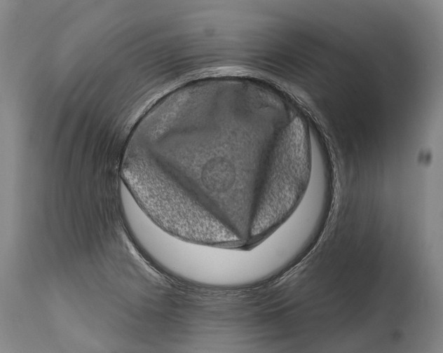 X0000114651225200911101313