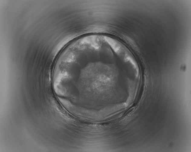 X0000114651226200911101313