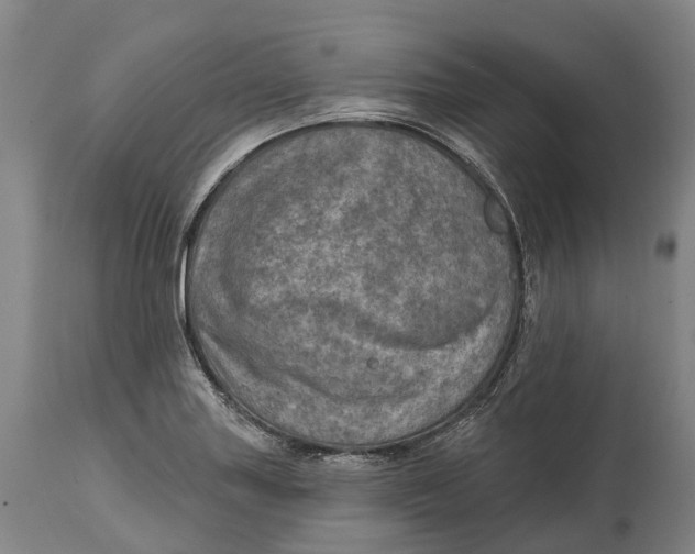 X0000114651227200911101313