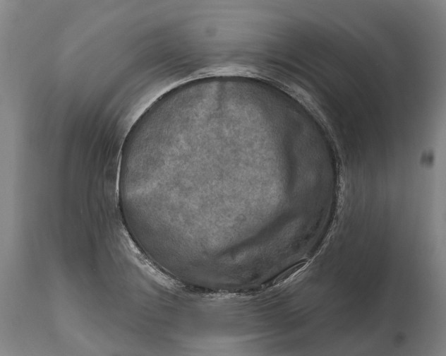 X0000114651228200911101313