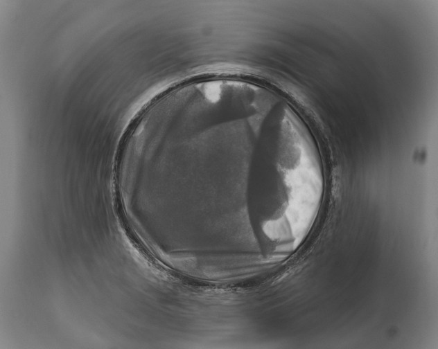 X0000114651229200911101313