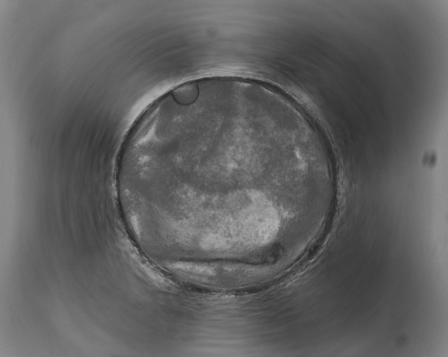 X0000114651230200911101313