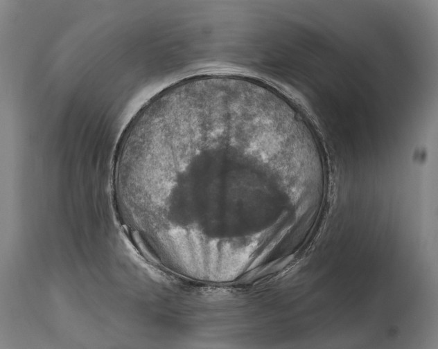 X0000114651231200911101313