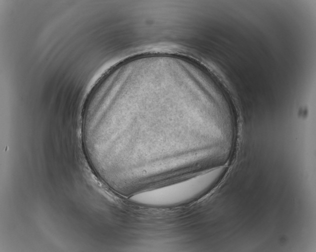 X0000114651232200911101313