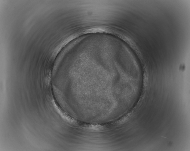 X0000114651233200911101313