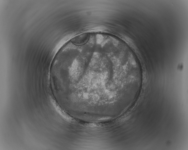 X0000114651234200911101313