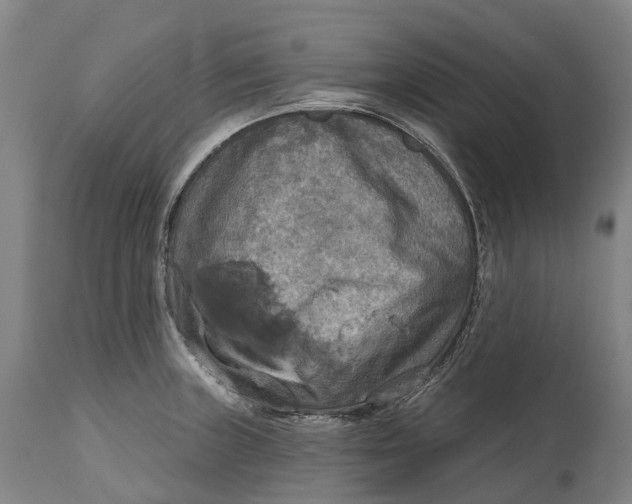 X0000114651235200911101313