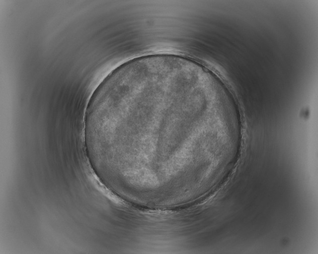 X0000114651236200911101313