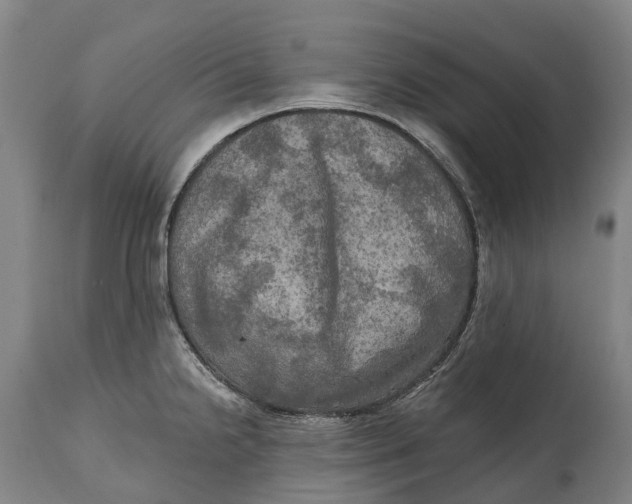 X0000114651238200911101313