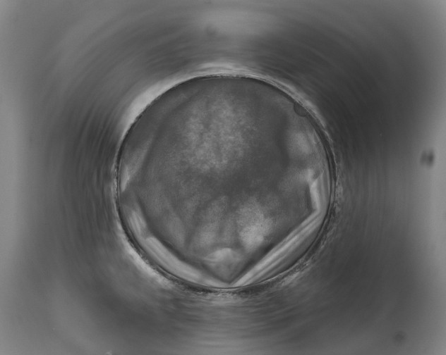 X0000114651239200911101313