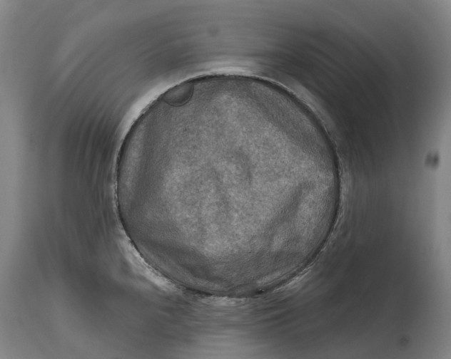 X0000114651240200911101313