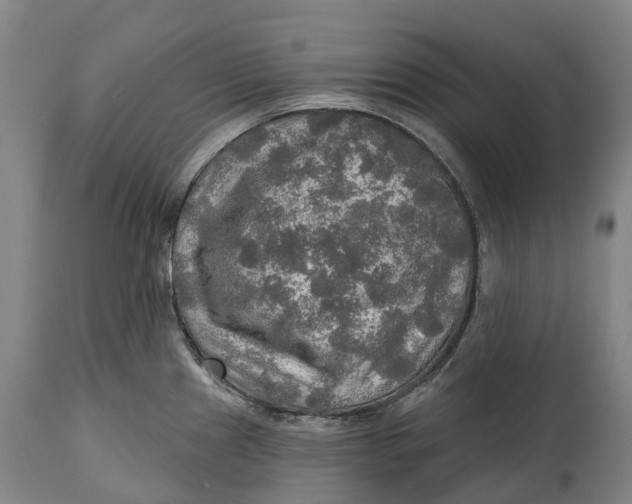 X0000114651241200911101313