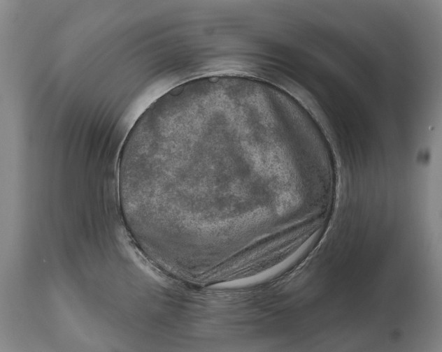 X0000114651242200911101313