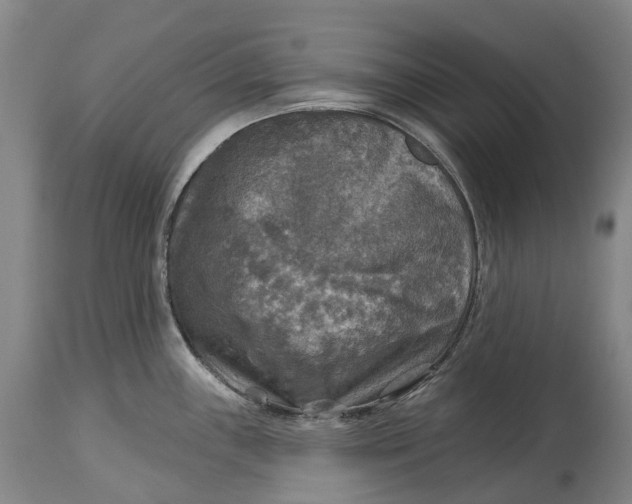 X0000114651243200911101313