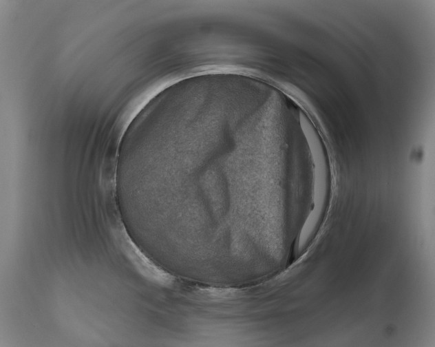 X0000114651244200911101314