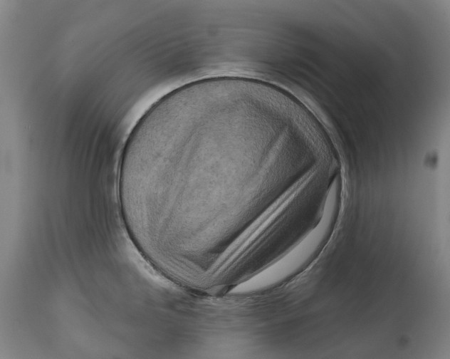 X0000114651246200911101314