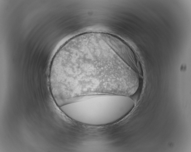 X0000114651248200911101314