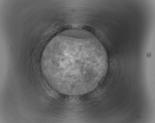 X0000114651249200911101313