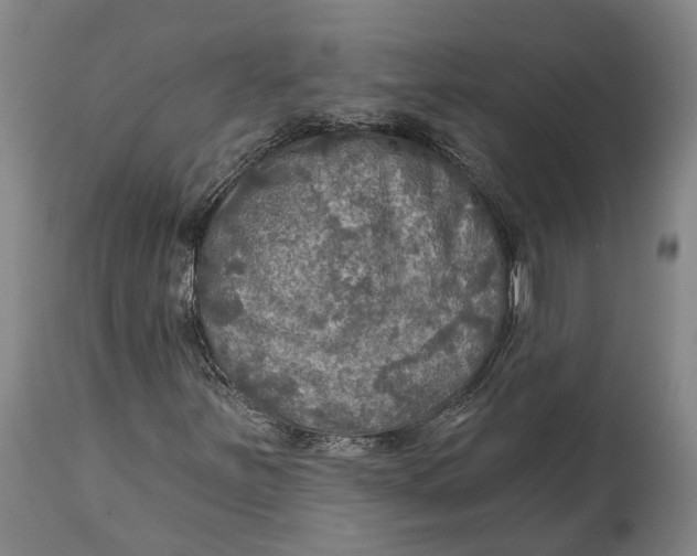 X0000114651251200911101313