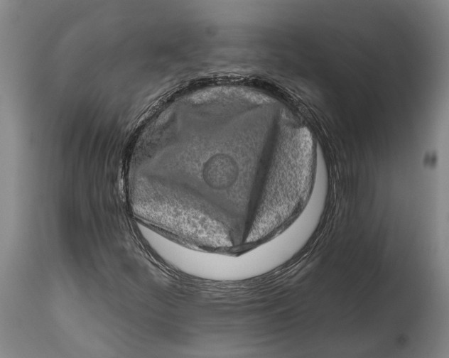 X0000114651252200911101313