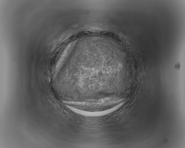 X0000114651253200911101313