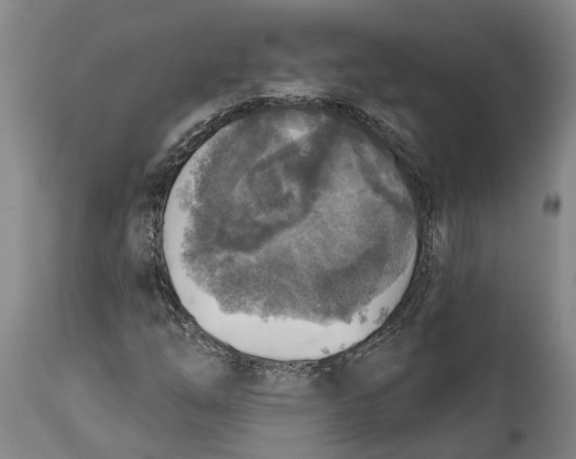 X0000114651254200911101313