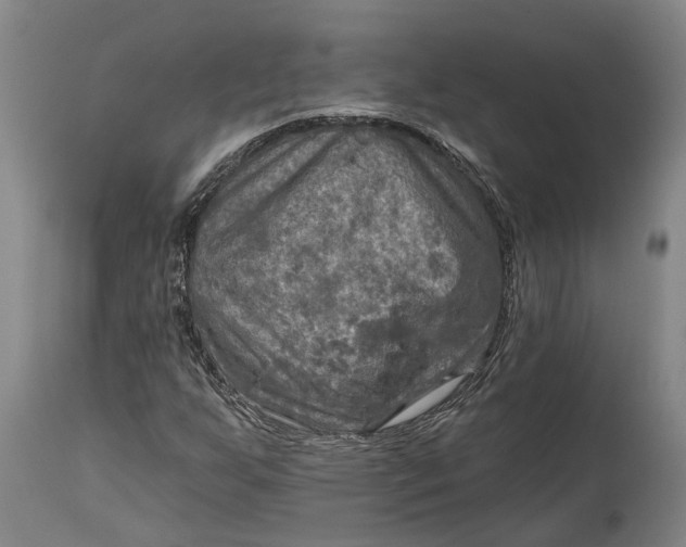 X0000114651255200911101313