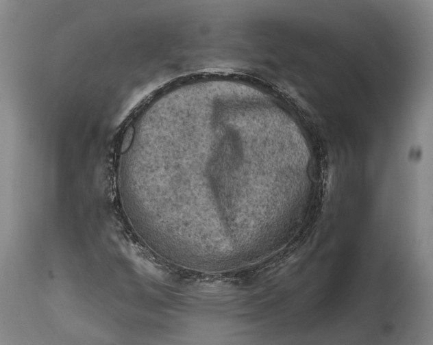 X0000114651256200911101313