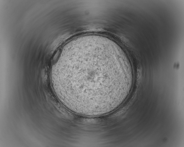 X0000114651257200911101313