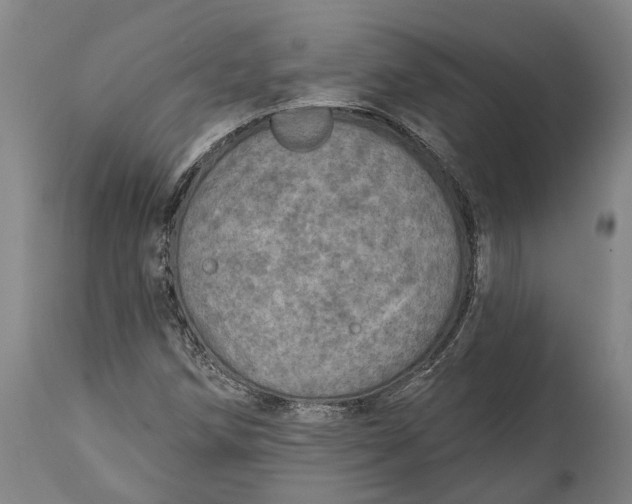 X0000114651258200911101313