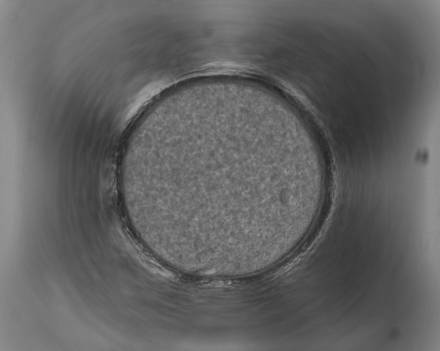 X0000114651259200911101313