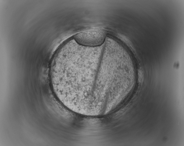 X0000114651260200911101313