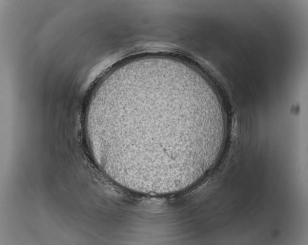 X0000114651261200911101313