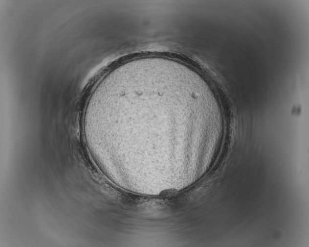 X0000114651262200911101313