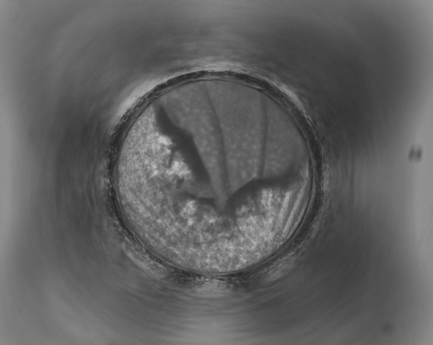 X0000114651263200911101313